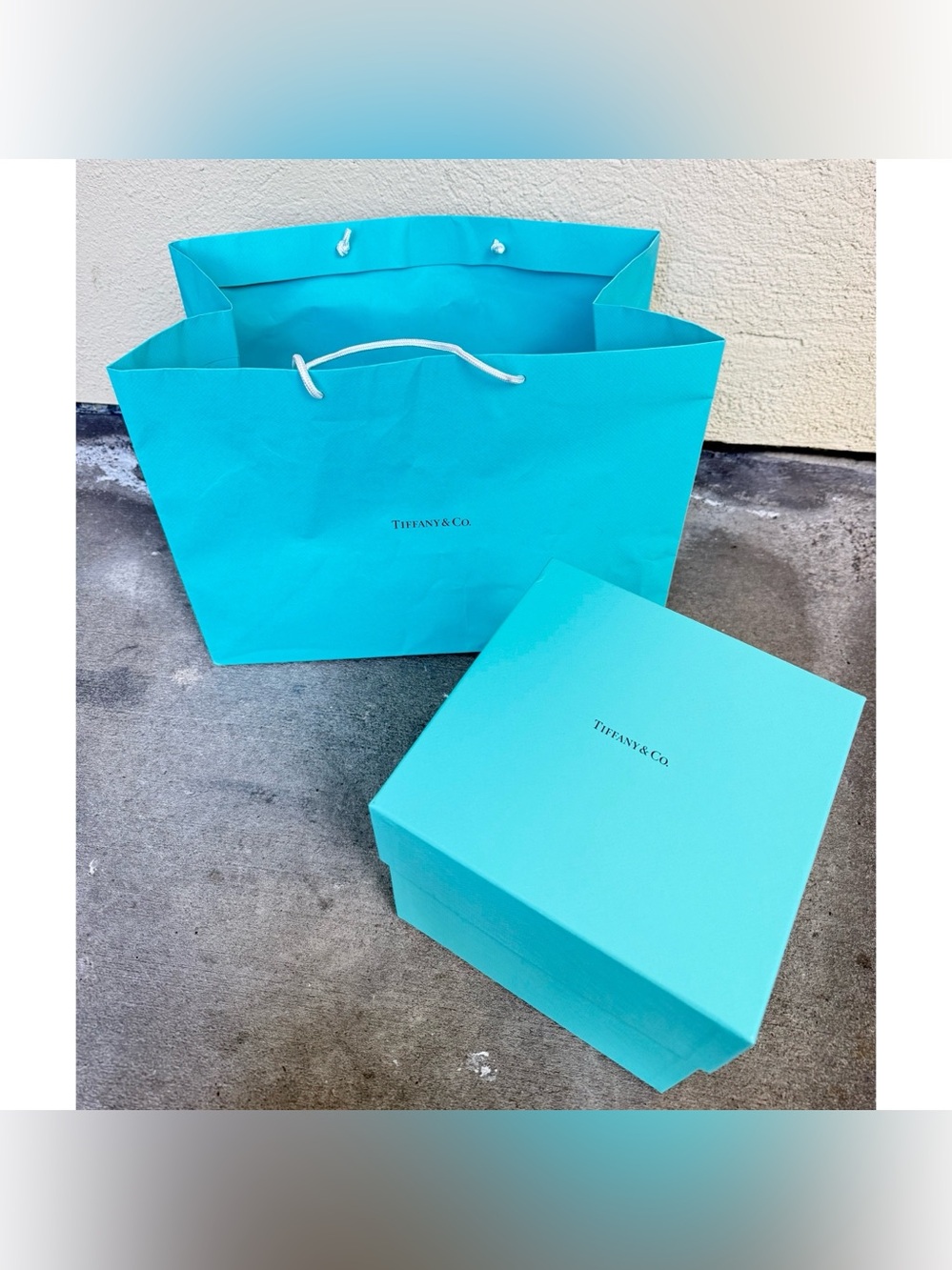 TIFFANY & CO. gift bags and gift box